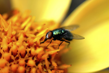 Similar image 8075424