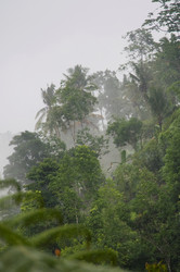 Similar image 8075431