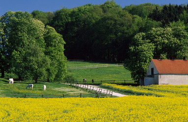 Similar image 8075438