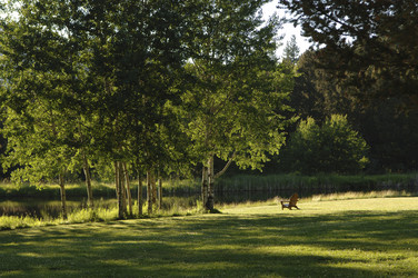 Similar image 8075442