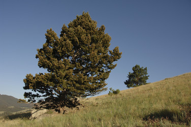 Similar image 8075443