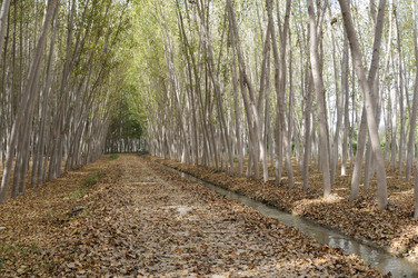 Similar image 8075453