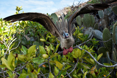 Similar image 8075463