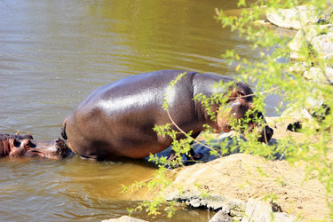 Similar image 8075466