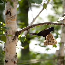 Similar image 8075467