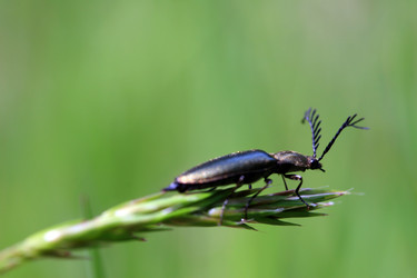 Similar image 8075474