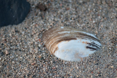 Similar image 8075478