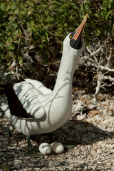 Similar image 8075482