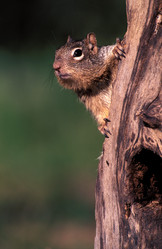 Similar image 8075491