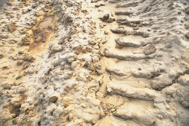 Similar image 8075494