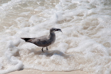 Similar image 8075507