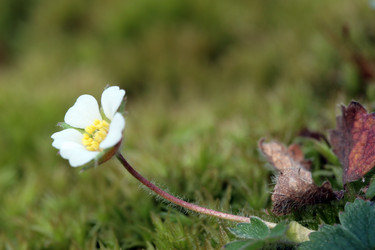 Similar image 8075511