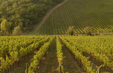 Similar image 8075516