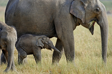 Similar image 8075521