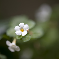 Similar image 8075540