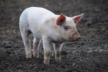 Similar image 8075541