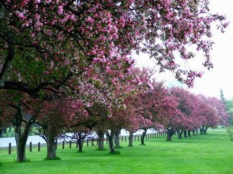 Similar image 8075543