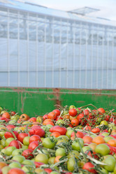 Similar image 8075547