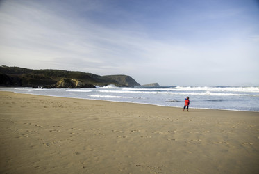 Similar image 8075550