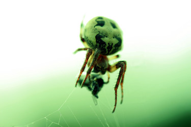 Similar image 8075553