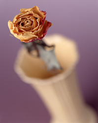 Similar image 8075563