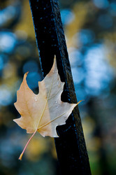 Similar image 8075567