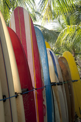 Similar image 8075568