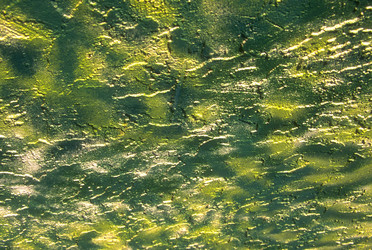 Similar image 8075571