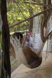 Similar image 8075590