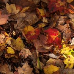 Similar image 8075603