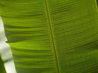 Similar image 8075623