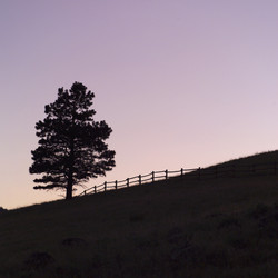 Similar image 8075626