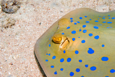 Similar image 8075636