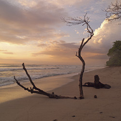 Similar image 8075638