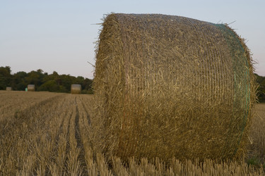 Similar image 8075639