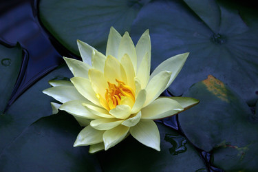 Similar image 8075645