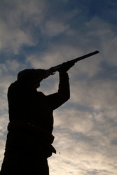 Similar image 8075651