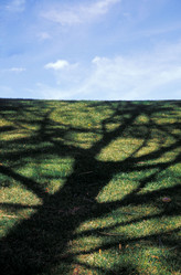 Similar image 8075656