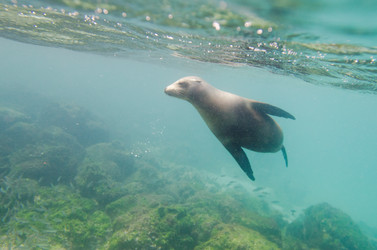 Similar image 8075663