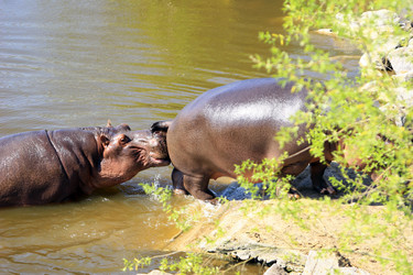 Similar image 8075676