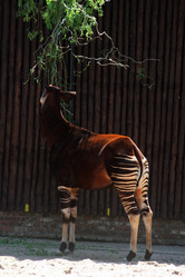 Similar image 8075698