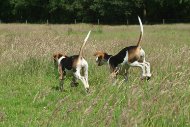 Similar image 8075699