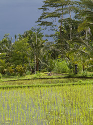 Similar image 8075710