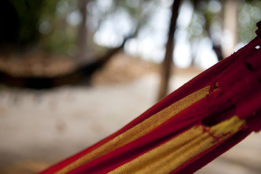 Similar image 8075720