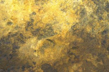 Similar image 8075727