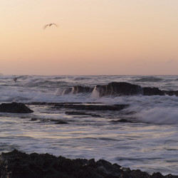 Similar image 8075729