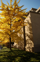 Similar image 8075735