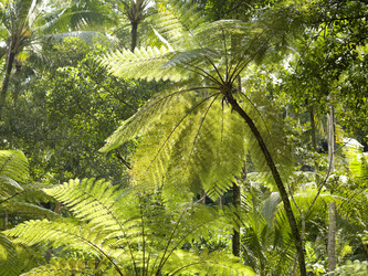 Similar image 8075737