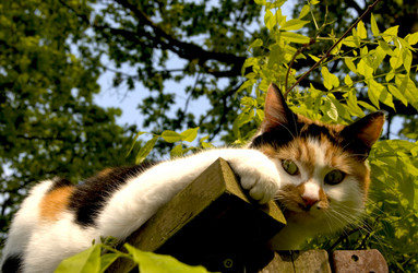 Similar image 8075743