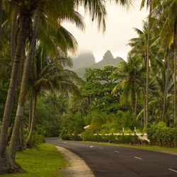 Similar image 8075748